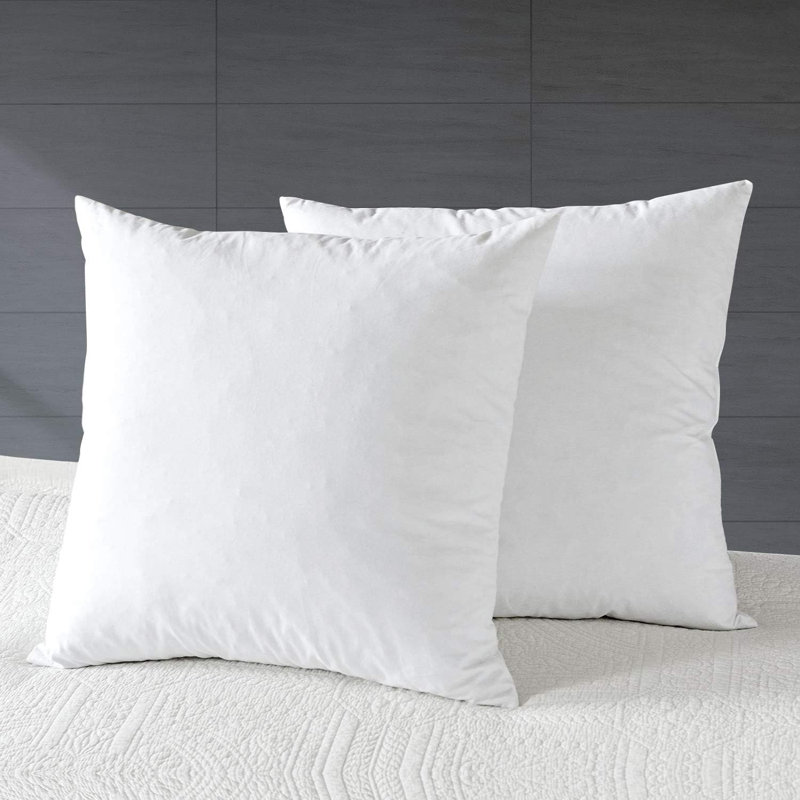 Insert de coussin décoratif décoratif en duvet de plumes avec housse en coton (ensemble de 2), H 18 po x l 18 po, 2