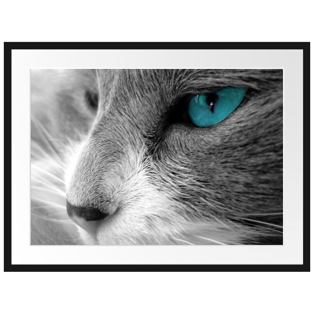 Gerahmtes Poster Katze mit Augen