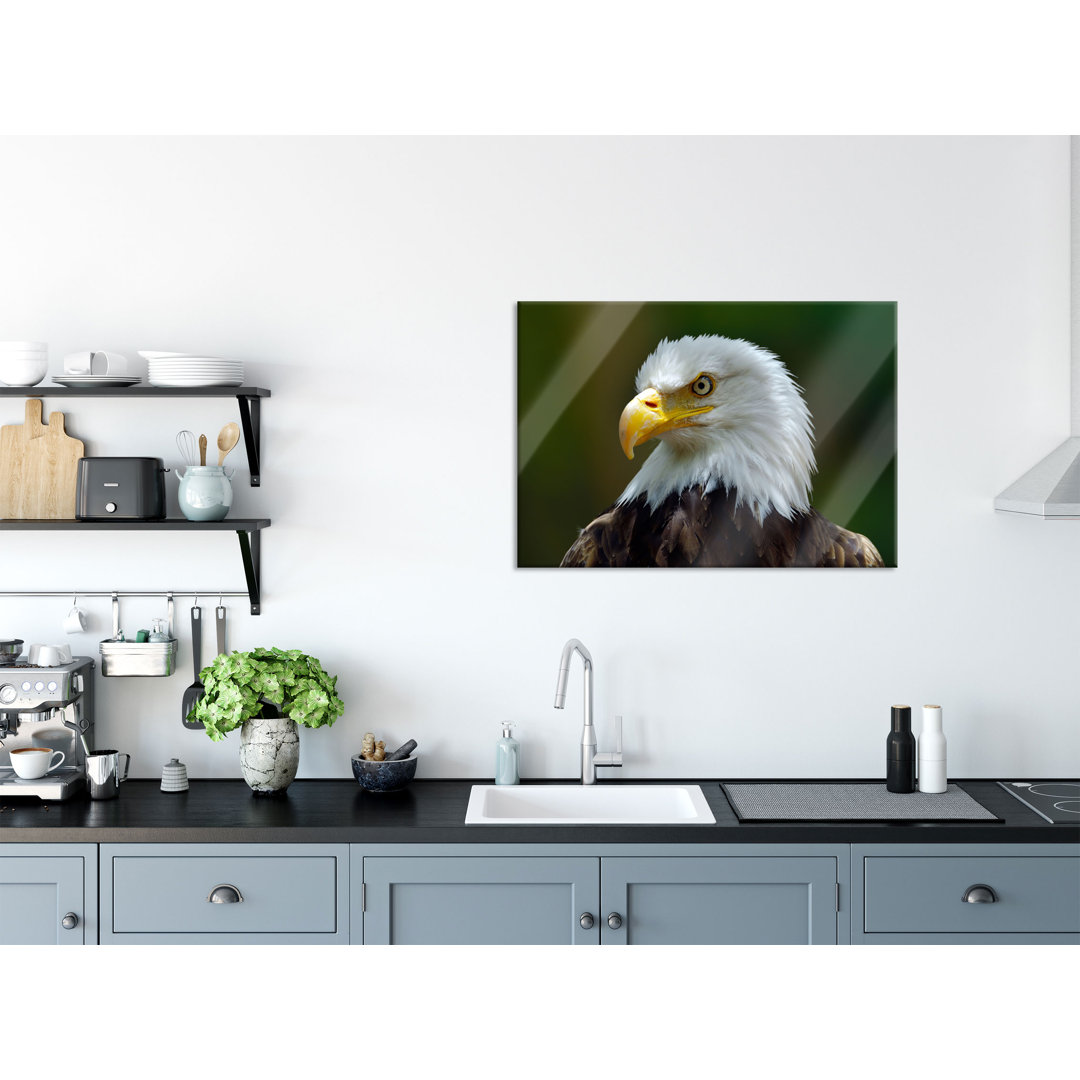 Glasbild Mighty Bald Eagle