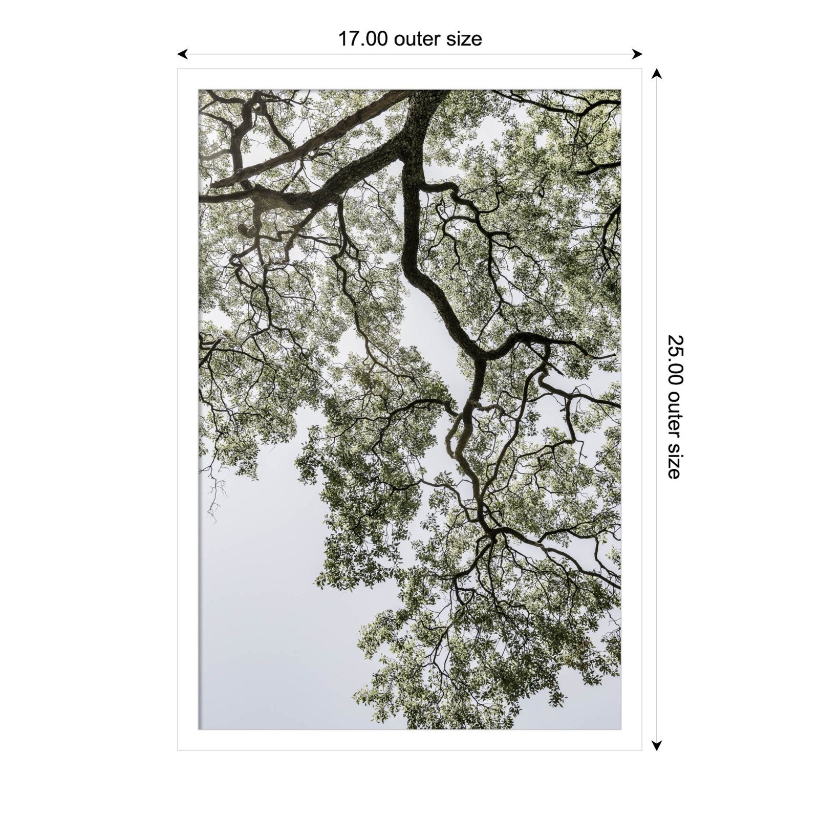 Pleasantville "Coastal Forest" Print, White, 25" H x 17" W