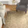 Mcelrath Ikat Indoor Rug