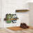 Wall Mounted Burnt Wood Shoe Rack Storage-544667251-544562582