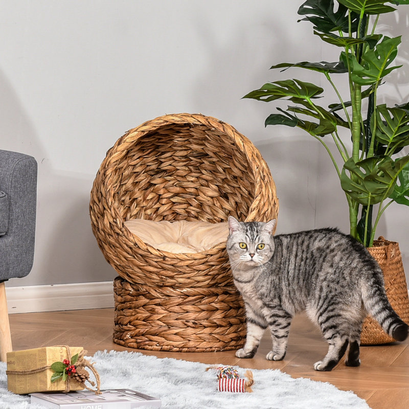 Lit surélevé pour chat avec coussin léger et moelleux, pour chats d'intérieur, H 23,5 po, panier de coussin brun doux