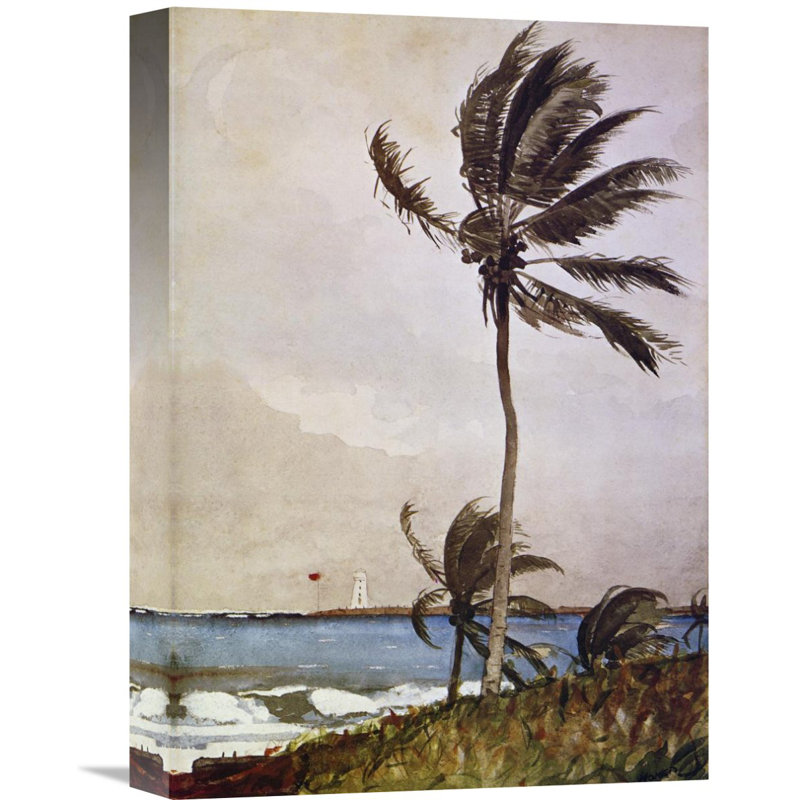 Winslow Homer Palm Tree Nassau Coastal Canvas Art