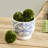 Killam White and Blue Mediterranean-Style Ceramic Cachepot