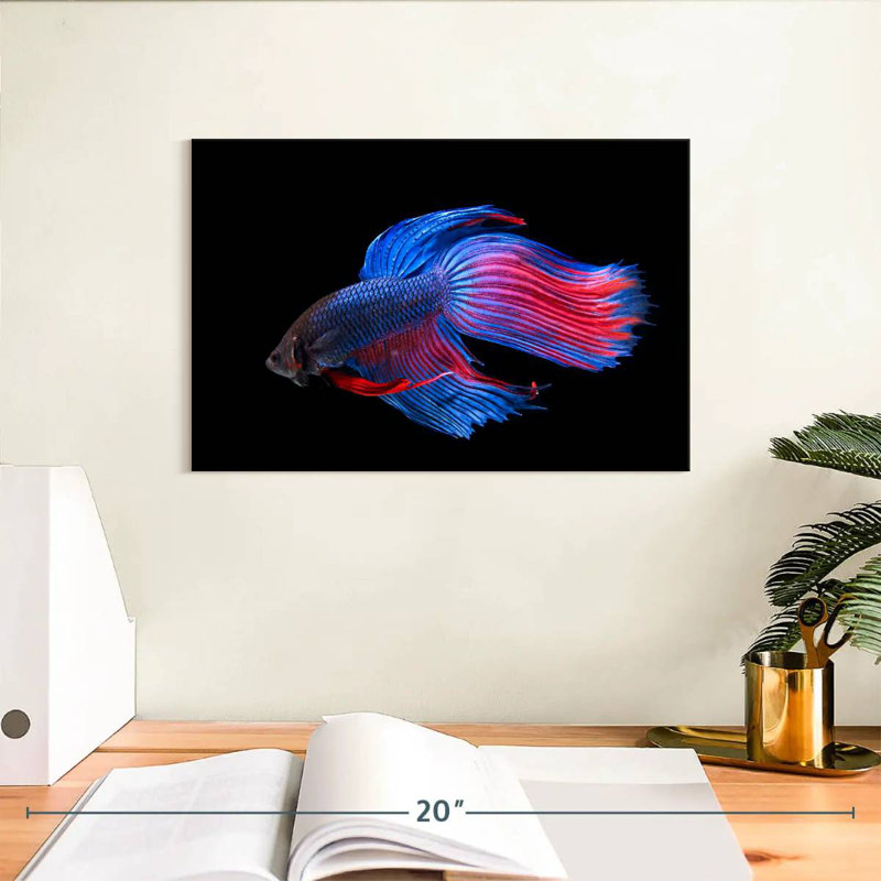 Glowing Betta Fish, 8" H x 12" W