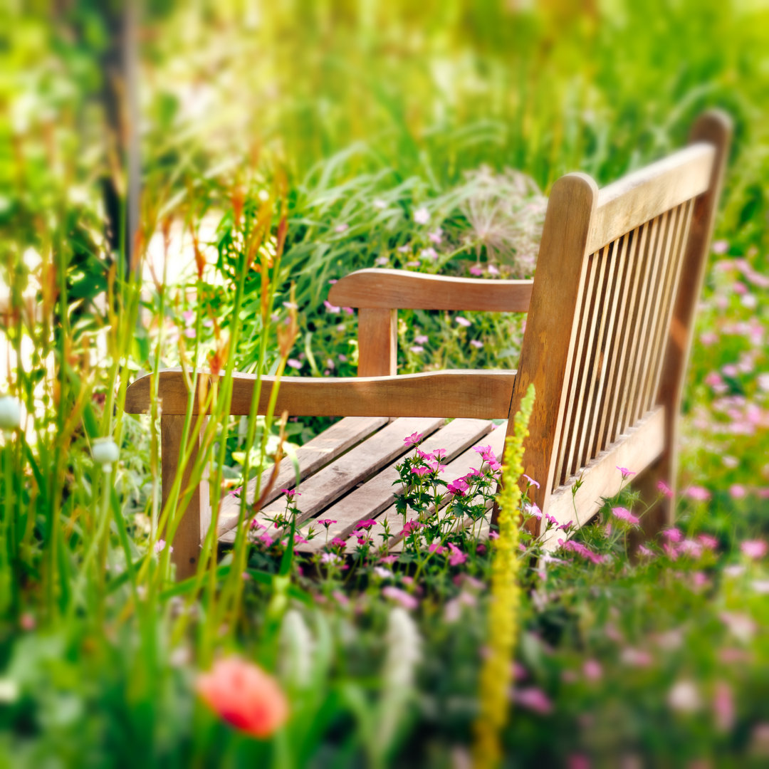 Leinwandbild Wooden Bench in a Wildflower Garden