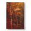 Trees Of Autumn - Wrapped Canvas-56664772