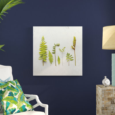 Flat Lay Ferns III by Felicity Bradley - No Frame Print on Canvas