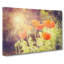 Field Of Poppies Vol.6 - Wrapped Canvas-61876940