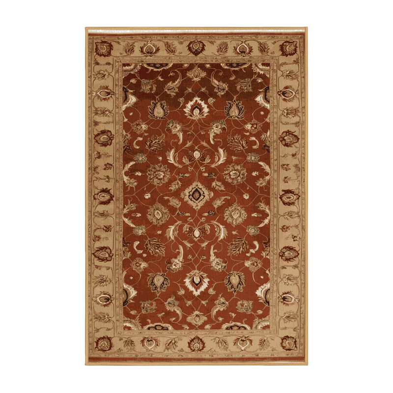 Tapis brun lavable à la machine, Rectangle 6 pi x 9 pi
