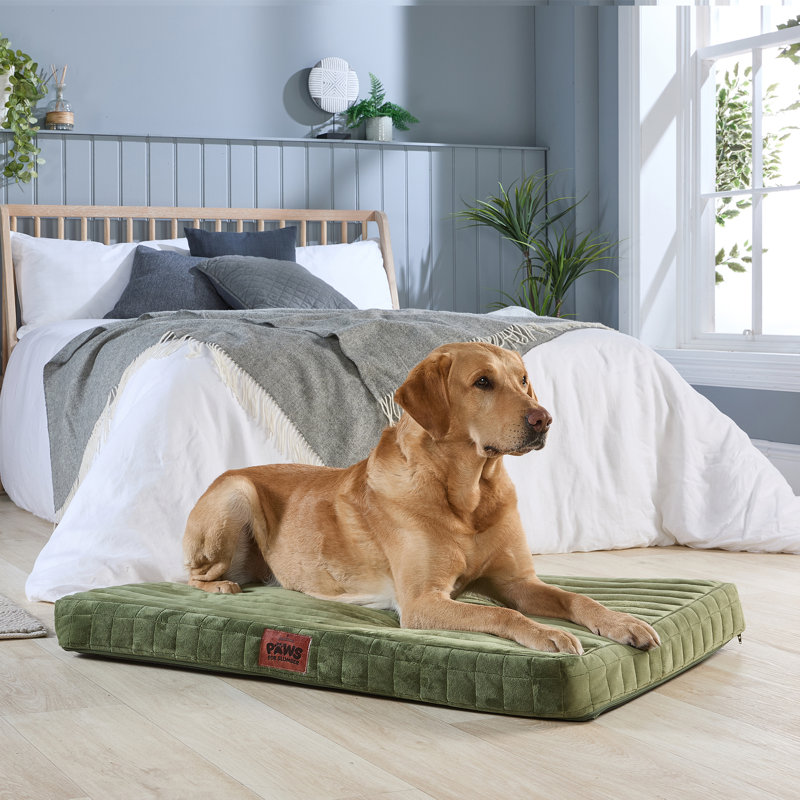 Slumberdown Orthopaedic Firm Support Crate Mattress Pet Bed, Green, 60cm H x 50cm W x 9cm D