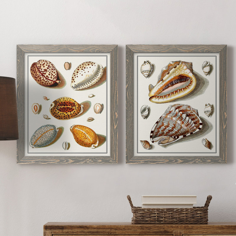 Collection de coquillages III - ensemble de 2 reproductions d'art sur toile, Toile avec cadre gris