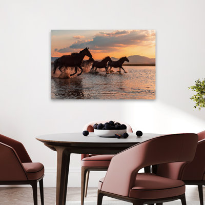 Tekdogan - Chevaux d'eau, paysage, coucher de soleil, photographie d'art, beaux-arts, contemporain
