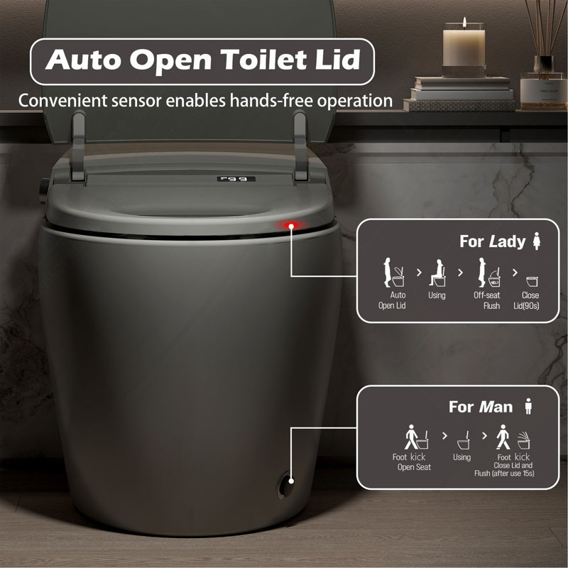 Smart Toilet with Bidet Built in, ADA One-Piece Toilet Auto Open/Close,Bidet Toilet with Heated Seat, Foot Kick,Warm Water & Dryer, Night Light, Auto Flushing, 12" Rough-in