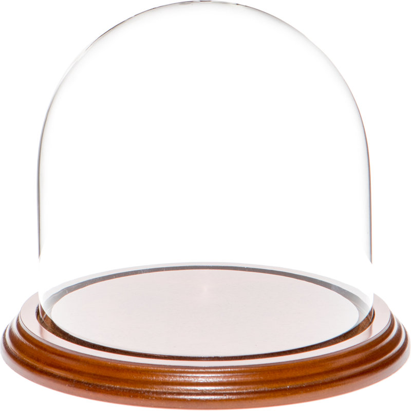 Cloche à dôme en verre 5,5 "x 5,5" Vucciria, Base en placage de noyer