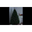 Sapin de Noël lumineux Cecelia-1892431162-1892431161