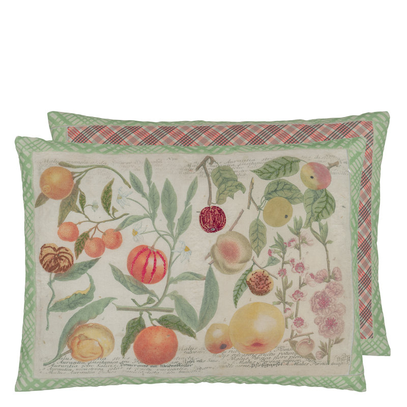 Oranges Canvas Decorative Pillow
