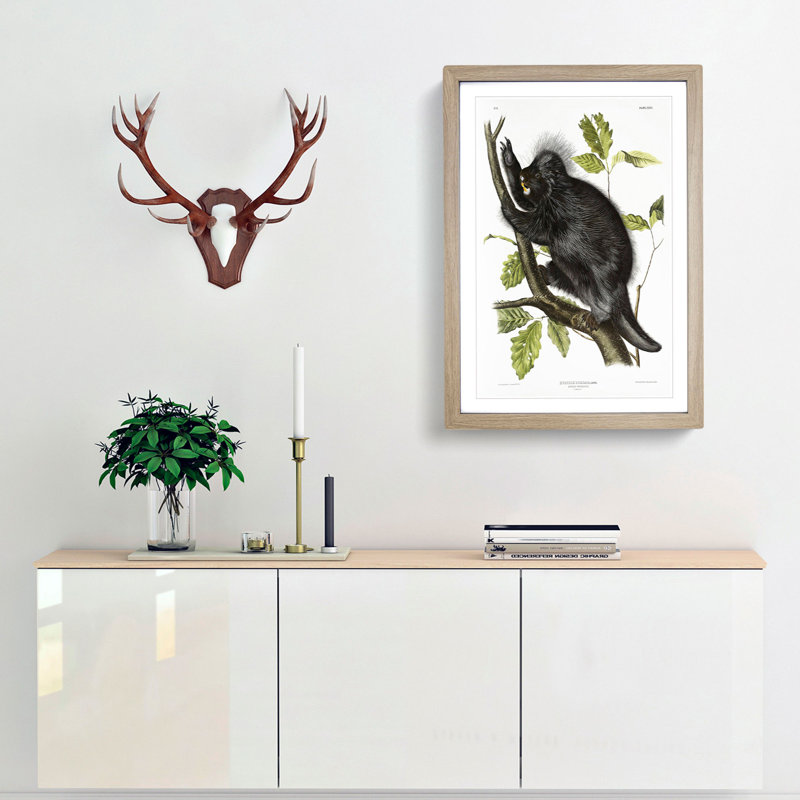 Canadian Porcupine by J.W. Audubon - Picture Frame Graphic Art Print, 87cm H x 62cm W x 2cm D, Oak Framed