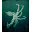 Marine Collection VI Print by GI Lab-26703697-26703695