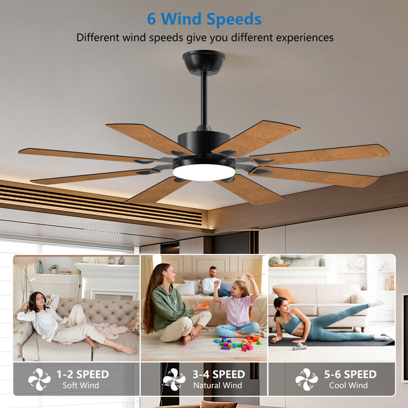 52 Inch Ceiling Fan With Lights And Remote Control, 8 Plywood Blades, 6-Speed Noiseless Reversible DC Motor, 3CCT, Windmill Ceiling Fan For Kitchen Bedroom Living Room, Black