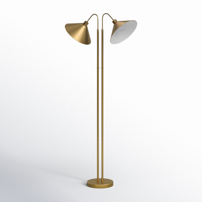Fayra 2 - Light Gooseneck Floor Lamp