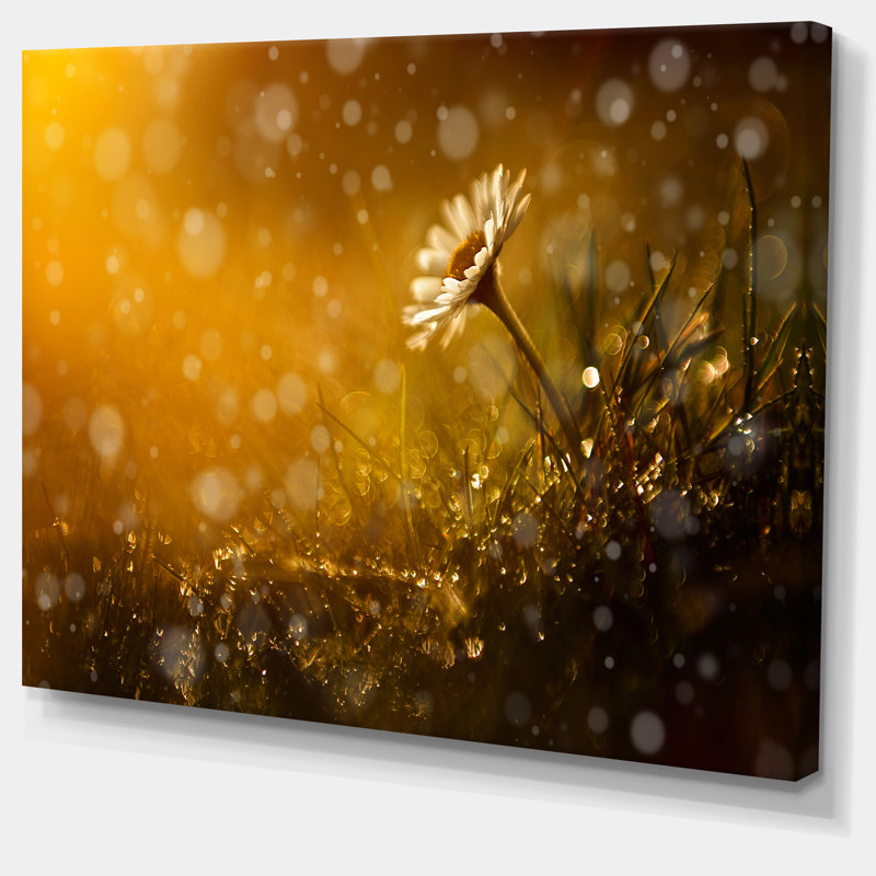 Forêt après la pluie pendant le coucher du soleil - reproduction de photo sur toile tendue, H 28 x l 60 po x P 1 po