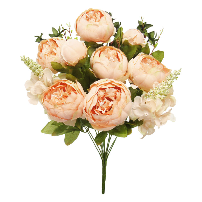 Buisson de pivoines de luxe mélangé, Pêche rosé