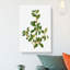 Italian Buckthorn Tree by Pierre-Joseph Redoute - Wrapped Canvas-55362515