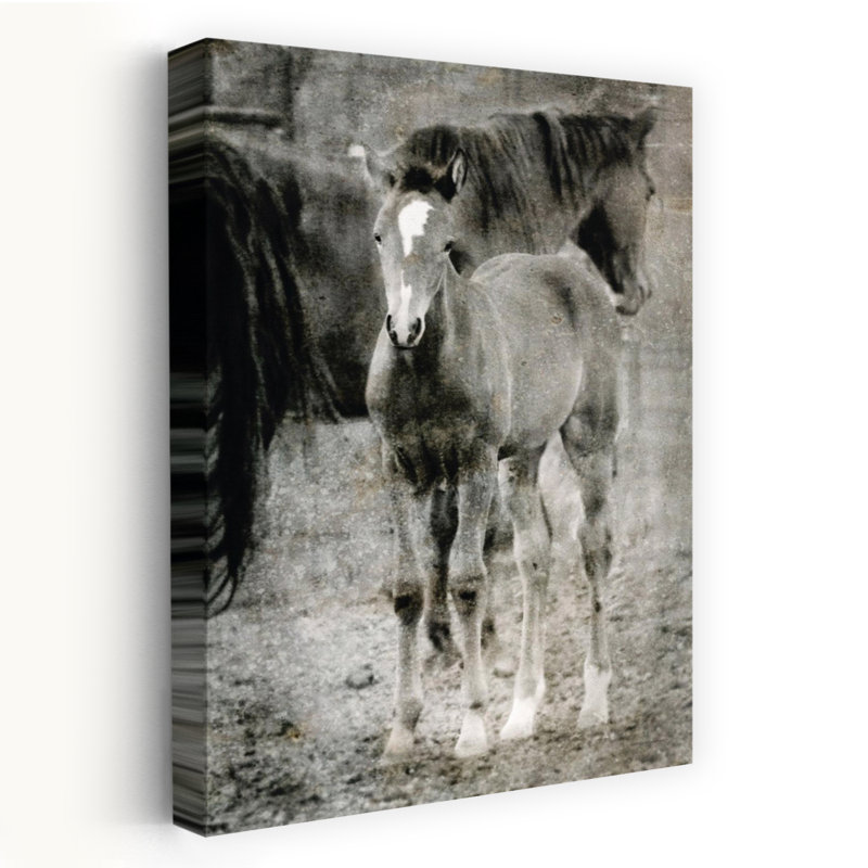 «Focus On Me», art cheval contemporain, H 24 po x l 16 po