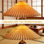 Lampe de table de ferme moderne avec abat-jour à double parasol, base en bois naturel et ampoule E12 incluse pour chambre à coucher, table de chevet, salon, bureau, décor