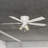Audronis 52'' Ceiling Fan with Light Kit-1682427436-1682427437