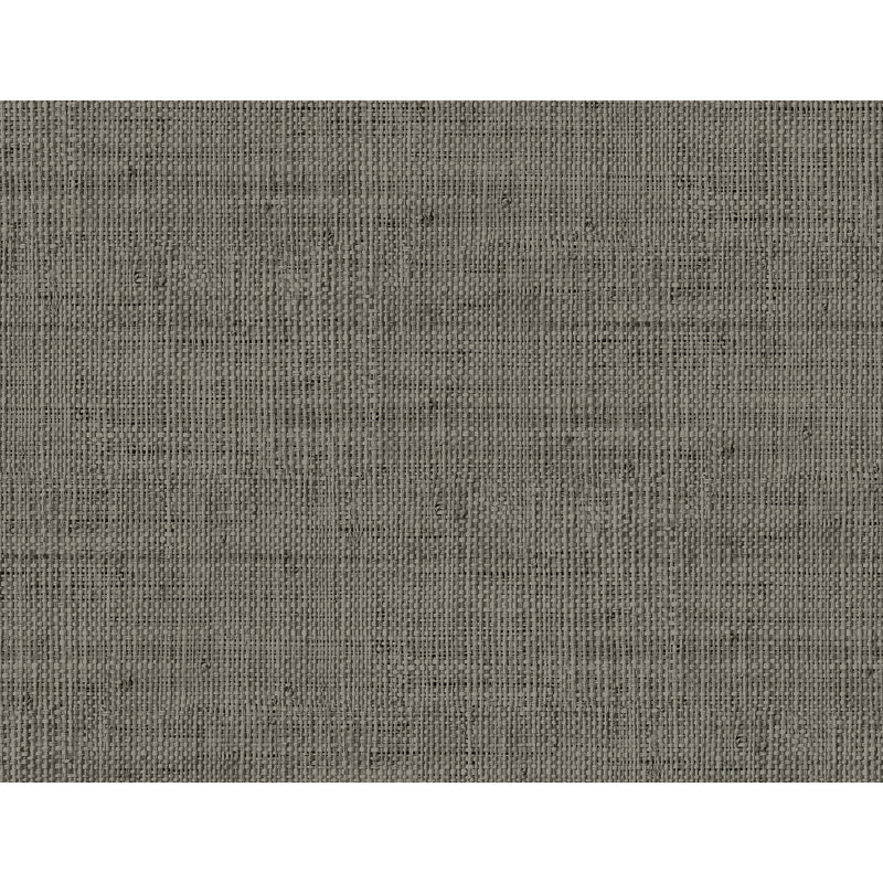  Papier peint en vinyle gaufré Wild Storm, Gris tempête