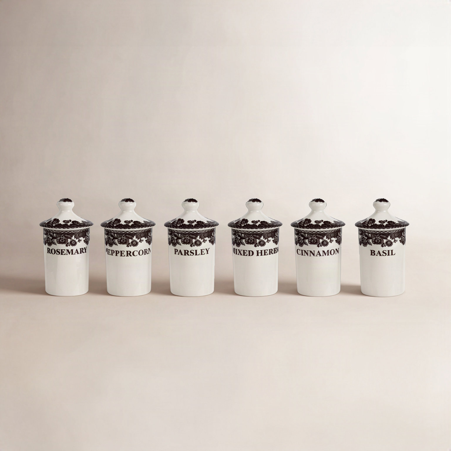 Spode Delamere 6-Piece Spice Jars