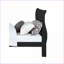 Lit simple en bois noir Lit de jour en métal avec couchette coulissante - Style Louis Philippe classique-1894506101-1894506100