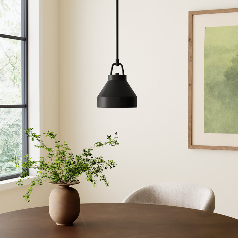 Orion 1 - Light Dome Pendant, Black, 48.25" H x 8" W x 8" D