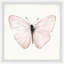 «Translucent Pink Wings» par Abdirazaq, reproduction d'aquarelle encadrée-1315197338