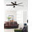 Brione 64'' Ceiling Fan with LED Lights