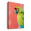 Ara vert - impression sur toile tendue-2026976913