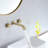 Wall Mounted Optional 2-handle Bathroom Faucet