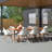 Anautica 8 - Person Wood Patio Dining Set with Rectangular Table