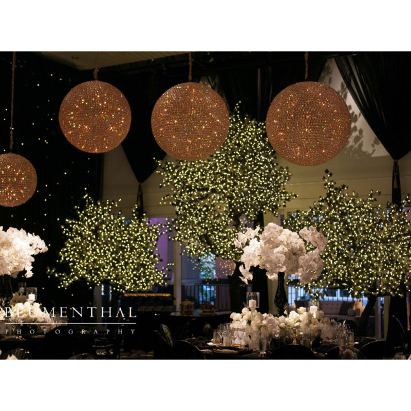 48'' LED Lighted Trees & Branches