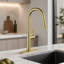 ROBOHIGH Kitchen Faucet Side Spray