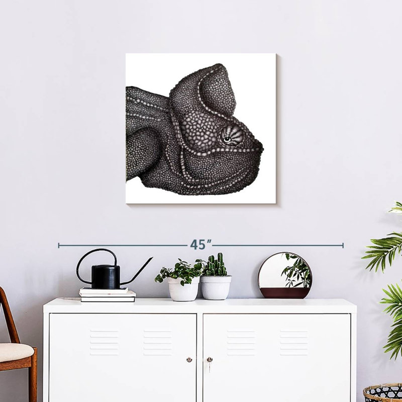 Brampt Carlos, 24" H x 24" W