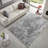 Middlefield Gray Abstract Cotton Chenille Area Rug-257936523