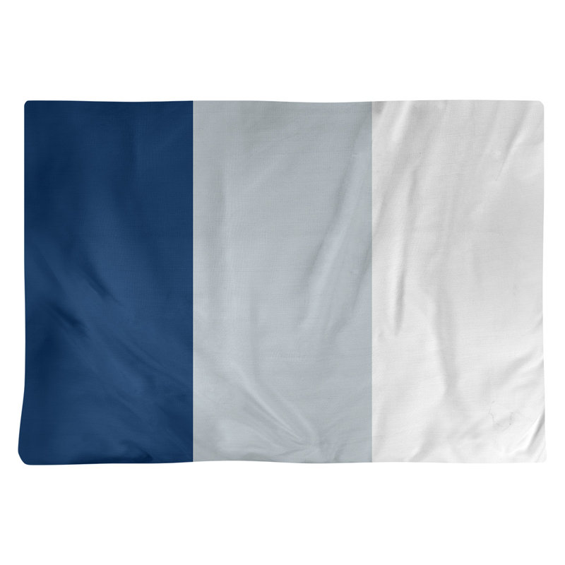 Récapitulatif 18" basket Washington, Bleu marine / argent / blanc, Polyester