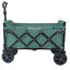 Expandable Dual-Layer Utility Wagon-125205159