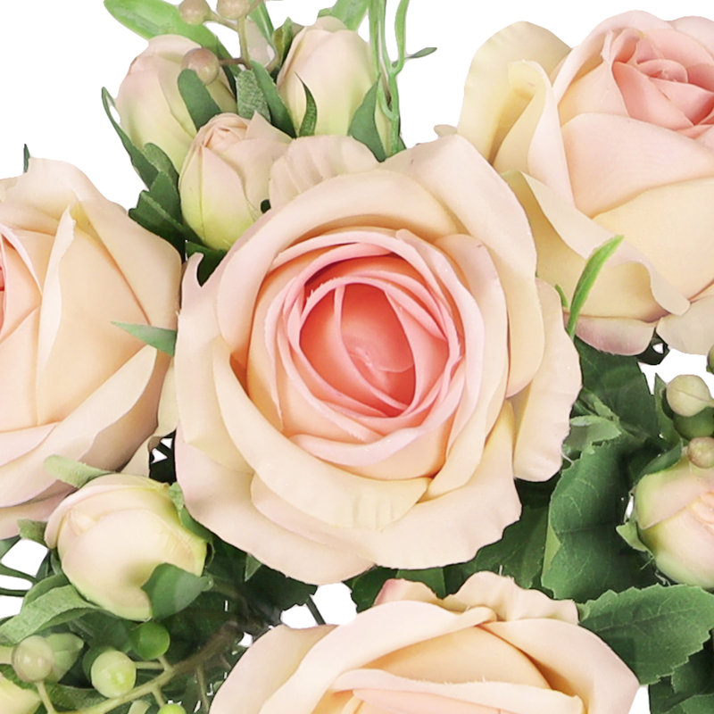 Doux jet de rose délicat, Ivoire rose