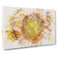 The Eye of a Yellow Sunflower - Wrapped Canvas-56667921