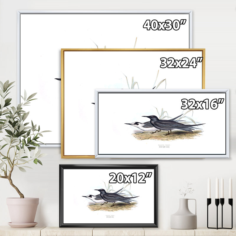 Oiseau rétro de l'Europe II - peinture sur toile, H 16 po x l 32 po x p 1 po, Cadre flottant doré